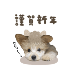 [LINEスタンプ] ピノくん☆シーズン2026