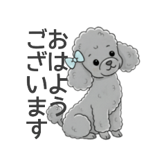 [LINEスタンプ] トイプードル グレー（使いやすい敬語）