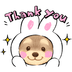 [LINEスタンプ] シュナちゃんのご挨拶