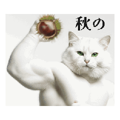 [LINEスタンプ] 秋の猫マッチョ☆