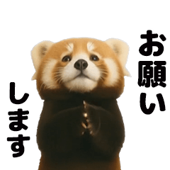 [LINEスタンプ] 動く！レッサーパンダ（表情）