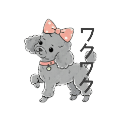 [LINEスタンプ] トイプードル グレー（感情多め）