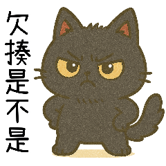 [LINEスタンプ] 怒怒小黒猫の日常用語