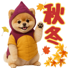 [LINEスタンプ] 【秋冬】ずっと使えるポメラニアン