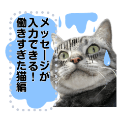 [LINEスタンプ] メッセージ入力可 働きすぎた猫編