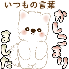 [LINEスタンプ] 白いわんこ 2025 「いつもよく使う言葉」