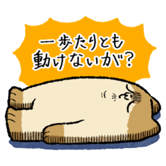 [LINEスタンプ] ノープロブレムなわたし
