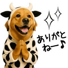 [LINEスタンプ] ゴールデンレトリバー牛着ぐるみ★即返信