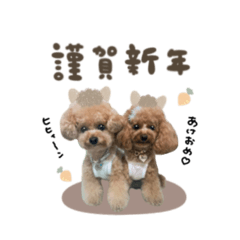 [LINEスタンプ] とのまろちゃん♡シーズンplan