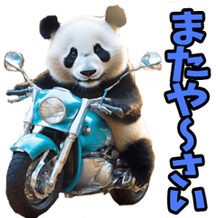 [LINEスタンプ] 沖縄弁☆パンダ