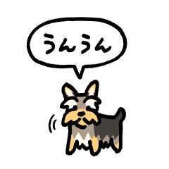 [LINEスタンプ] 小さいヨークシャテリア(フキダシ)