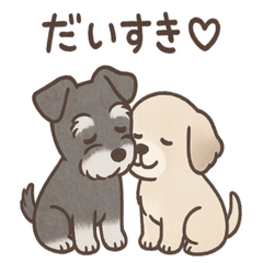 [LINEスタンプ] ずーっとラブ！ミニチュアシュナウザー
