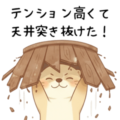 [LINEスタンプ] ポジティブ前向きカワウソ[全肯定で褒める]