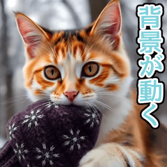 [LINEスタンプ] 背景が動く★冬を感じる三毛猫_挨拶