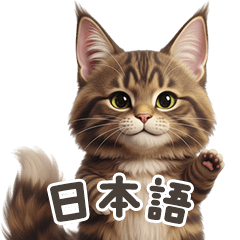 [LINEスタンプ] 【日本語】 メインクーン スタンプ 1