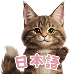 [LINEスタンプ] 【日本語】 メインクーン スタンプ 2
