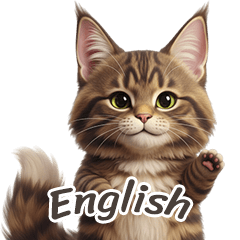 [LINEスタンプ] 【英語】 メインクーン スタンプ 1