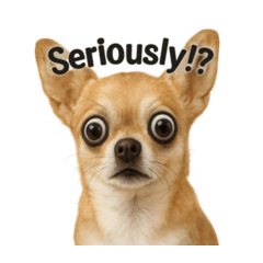 [LINEスタンプ] 犬犬犬犬犬犬わんわん