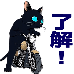 [LINEスタンプ] バイク猫くろ