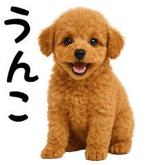 [LINEスタンプ] 犬うんこ【トイプードル】
