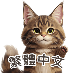 [LINEスタンプ] 【繁體字】 メインクーン スタンプ 1