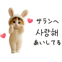 [LINEスタンプ] 着ぐるみネコの韓国語♡