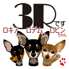[LINEスタンプ] まめぴん321*3Rfamily.ver
