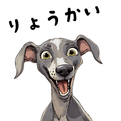 [LINEスタンプ] 毎日使える大人可愛いイタグレ