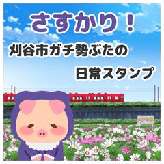 [LINEスタンプ] さすかり！刈谷市ガチ勢ぶたの日常