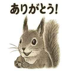 [LINEスタンプ] 墨絵リスのほっこりスタンプ
