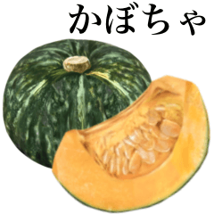 [LINEスタンプ] 【敬語】 国産かぼちゃ