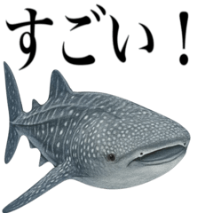 [LINEスタンプ] 海の生物の日常言葉