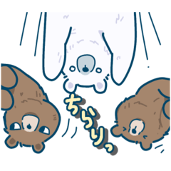 [LINEスタンプ] くまだけのスタンプ