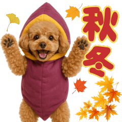 [LINEスタンプ] 【秋冬】ずっと使えるトイプードル