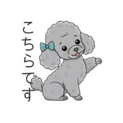 [LINEスタンプ] トイプードル グレー（仕事で使える敬語）