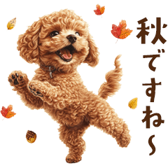 [LINEスタンプ] 秋色トイプードルスタンプ