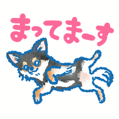 [LINEスタンプ] チワワいろいろスタンプ その2