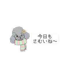 [LINEスタンプ] トイプードル グレー（省スペース）