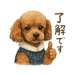 [LINEスタンプ] トイプーちゃちゃこ