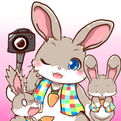 [LINEスタンプ] うさぎのどんちゃんスタンプ