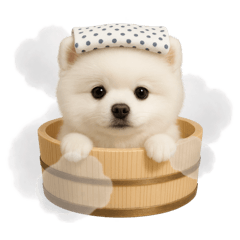 [LINEスタンプ] 湯けむりわんこ♨️