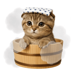 [LINEスタンプ] 湯けむりにゃんこ♨️