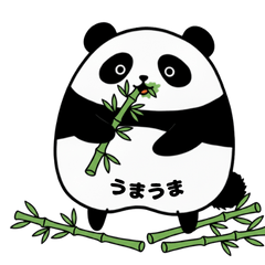 [LINEスタンプ] 恥ずかしがり屋のパンダ