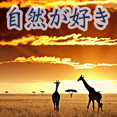 [LINEスタンプ] 背景が動く▶︎自然が好き-サバンナ・北極-