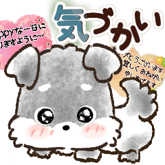 [LINEスタンプ] 愛犬♡シュナウザー★気づかい【メモ入り】