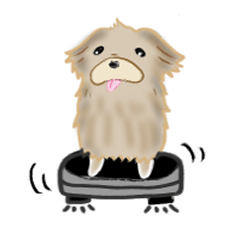 [LINEスタンプ] かわいい色んな動物スタンプ