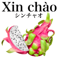 [LINEスタンプ] 南国のドラゴンフルーツ【ベトナム語】