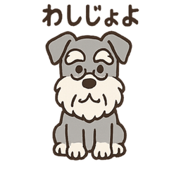 [LINEスタンプ] まったりおじいちゃんシュナ