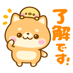 [LINEスタンプ] 動く♡豆柴日和♡