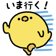 [LINEスタンプ] まんまるヒヨコ（文字付き）